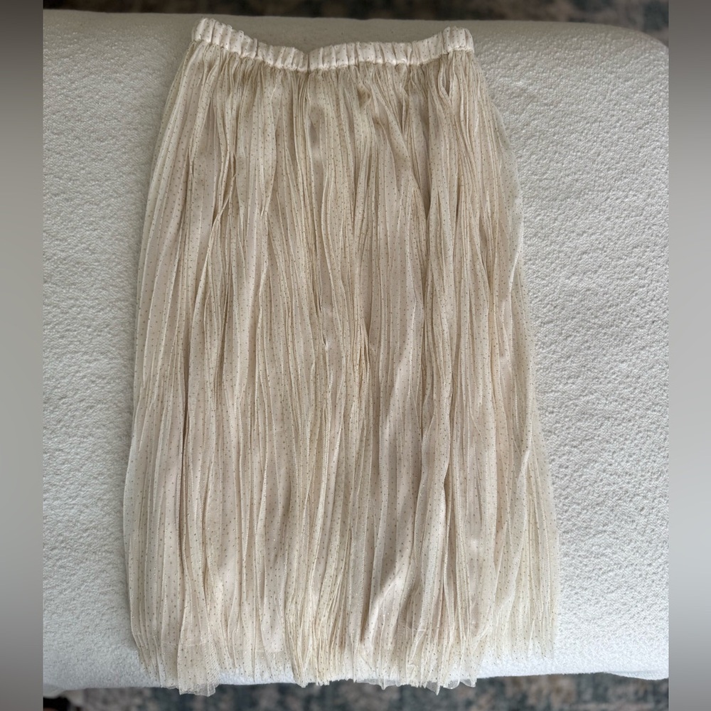 H&M Holiday Tulle Cream Pleated Skirt